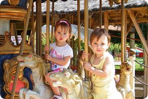 merri-go-round.jpg
